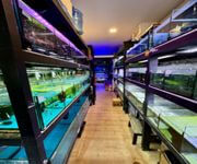 Established Aquarium Shop For Takeover image 9