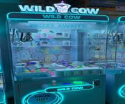 Low Maintainence Business-1St Excavator Game Machine + Claw Machine Business In Mall For Take image 4