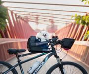 E-Commerce - Pets Tavern Pet Seats For Bicycles / Profitable, Low-Cost, Low-Maintenence image 3