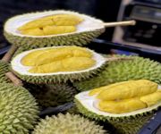 Durian Business For Takeover