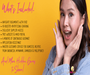 Maid Agency Jumpstart Access! Low Cost - High Success! image 2