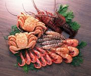 Highly Profitable & Fast Growing F&B Distribution Business For Sale image 3