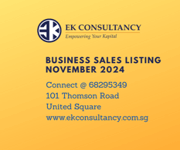 NOVEMBER 2024 Upcoming Business Listing * 68295349 *