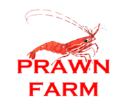 FOR SALE【Johor Prawn Farm on Rare Beachfront Freehold Land】IPO Potential 出售【柔佛养虾场，坐落于一块稀缺的海边土地，永久产权】