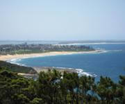 PRICE DROP! Established Fencing Business, West Gosford image 12