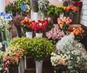 Bloom & Gift: Your One-Stop Florist and Gift Shop Near Berwick!