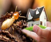 Termite Protection - Owner works 2 Hours pw!  2024 NP $222,000