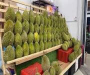 Durian And Fruit Business For Sale - High Online Sales