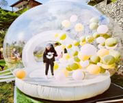 Established Online Business Offering Playful Mini Bounce Houses image 2