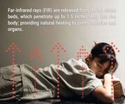 Established Japanese Hot Stone Sauna Wellness Center For Sale/Takeover/Investment image 2