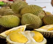 Profitable Durian Business For Sale, Annual Sales >800K, Central Location, Room For Expansion image 2