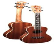 Established Online Musical Instruments Business For Sale - Ready To Operate Immediately!(Home Based) image 5