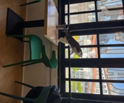 Art Jamming Cat Cafe For Sale image 5