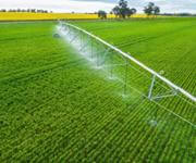 Thriving Essential Water & Irrigation Services Business in Queensland
