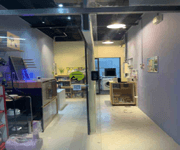 Cat Grooming  image 2