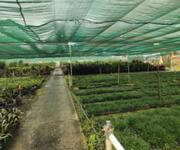 Freehold Nursery and spa supplies. Wholesale and Retail with 18.5 Acres and 3 bedroom home and pool
