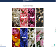 Leading Online Florist In Singapore For Sale image 11