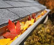 Highly Profitable Gutter Cleaning Business
