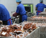 🥩 Premium Meat Production Business For Sale 肉类食品生产公司出售 | 新加坡成熟品牌 | 6年稳定运营 image 2