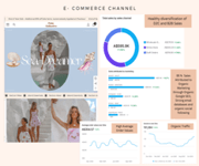 Apparel Store For Sale Retail Clothing Business Ecommerce Womens Fashion Business Takeover image 6