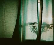Singapore Leading Curtains & Blinds Brand With 20,000+ Homes Furnished image 3