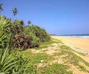 Ceylon Properties ( Sri Lanka ) For Hotel Build Ups image 3