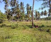 Ceylon Properties ( Sri Lanka ) For Hotel Build Ups image 5