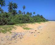 Ceylon Properties ( Sri Lanka ) For Hotel Build Ups image 1