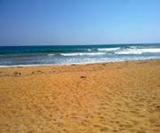 Ceylon Properties ( Sri Lanka ) For Hotel Build Ups image 4