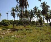 Ceylon Properties ( Sri Lanka ) For Hotel Build Ups image 6